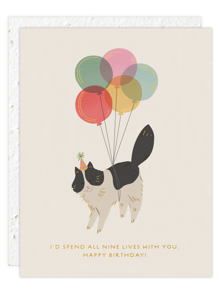 Birthday Kitty - Seeded Birthday Card