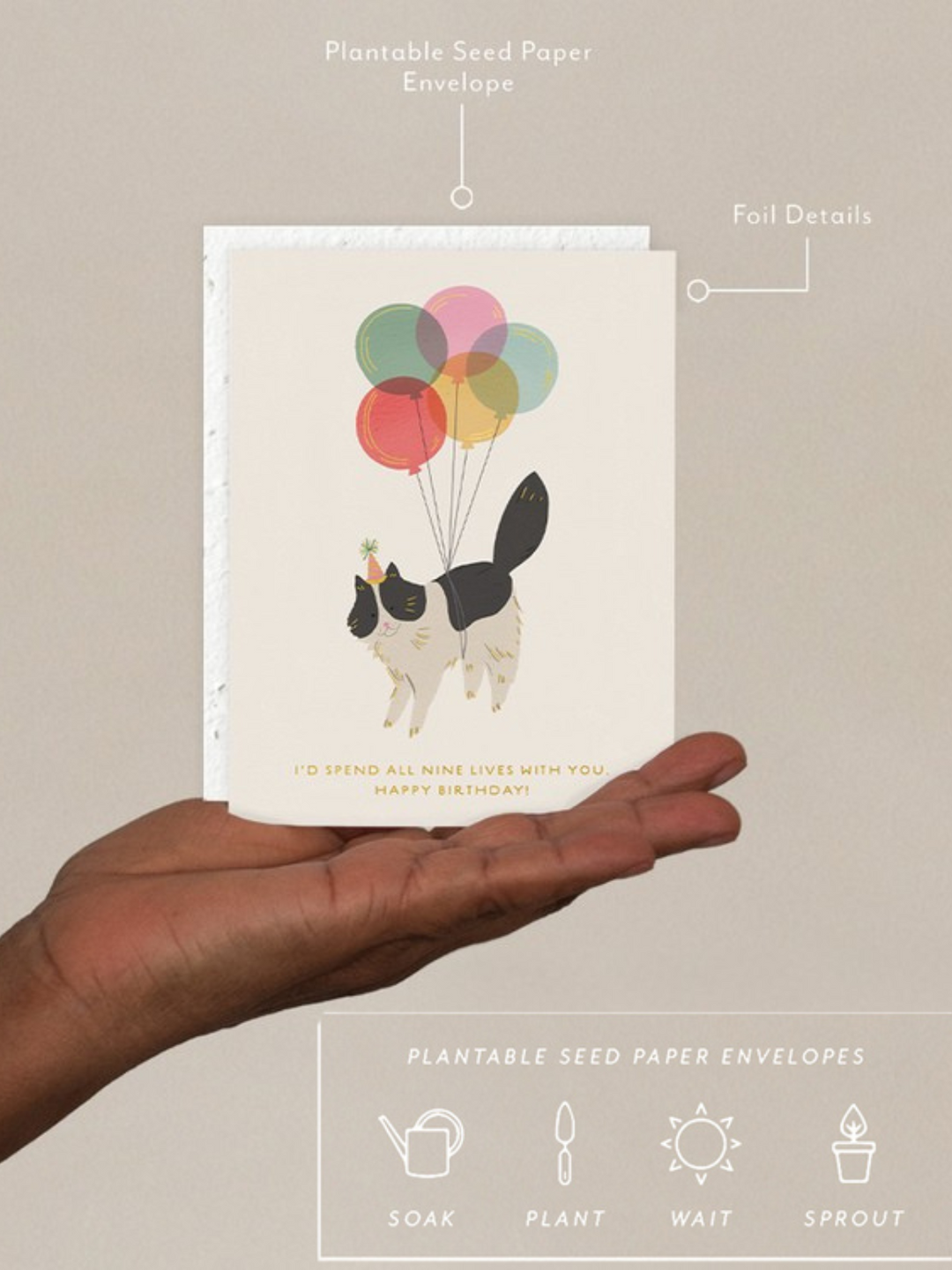 Birthday Kitty - Seeded Birthday Card