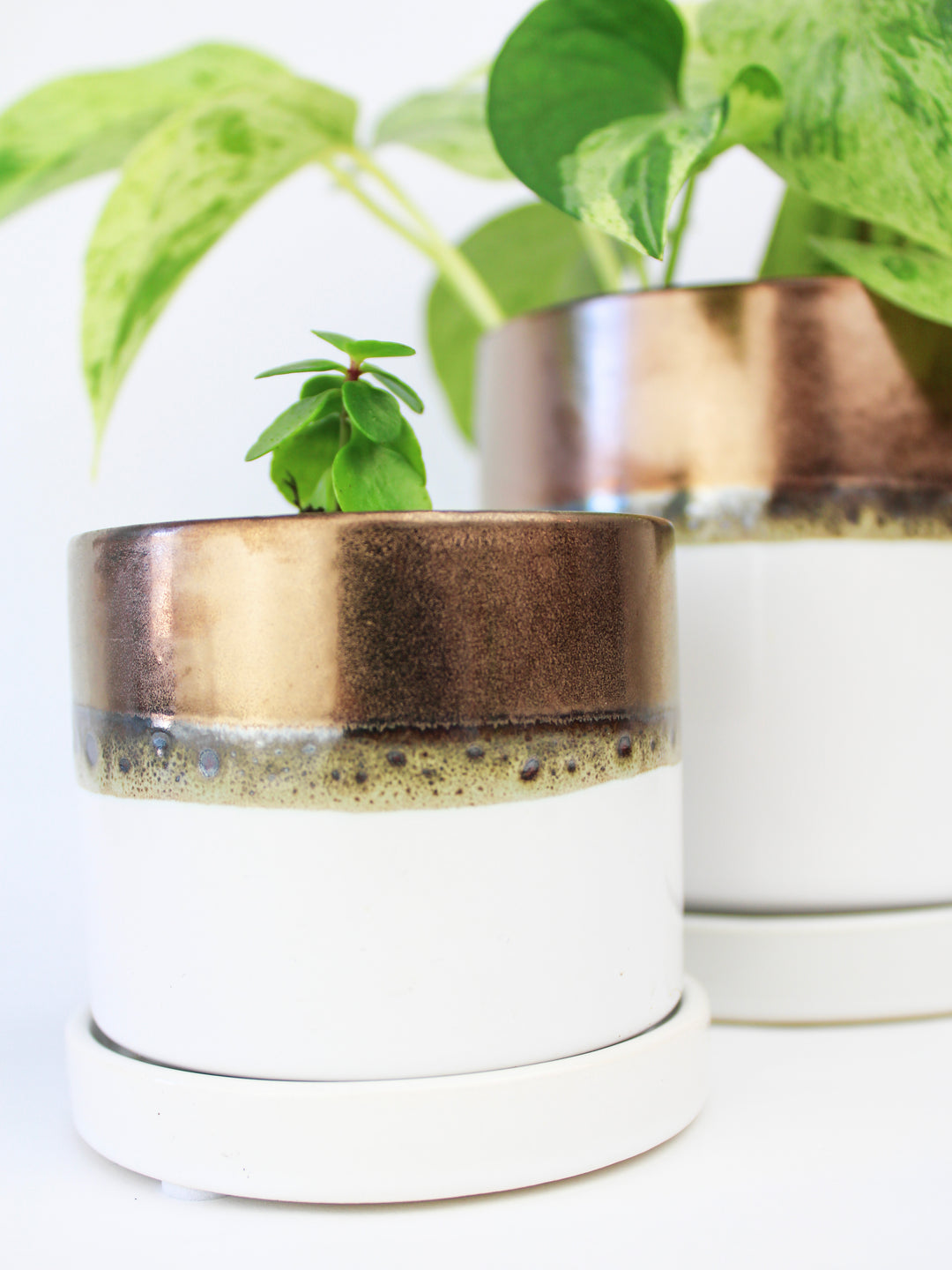 bronze indoor plant pot Chive Minute Ceramic Pot And Saucer Set 5" With Drainage handmade fairtrade plastic free – Ash & Rose