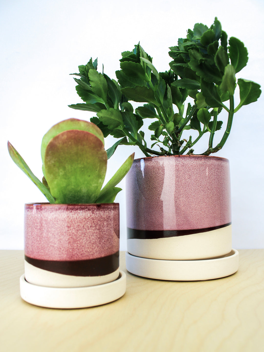 indoor ceramic plant pots with saucers Burgundy Ceramic Plant Pot and Saucer