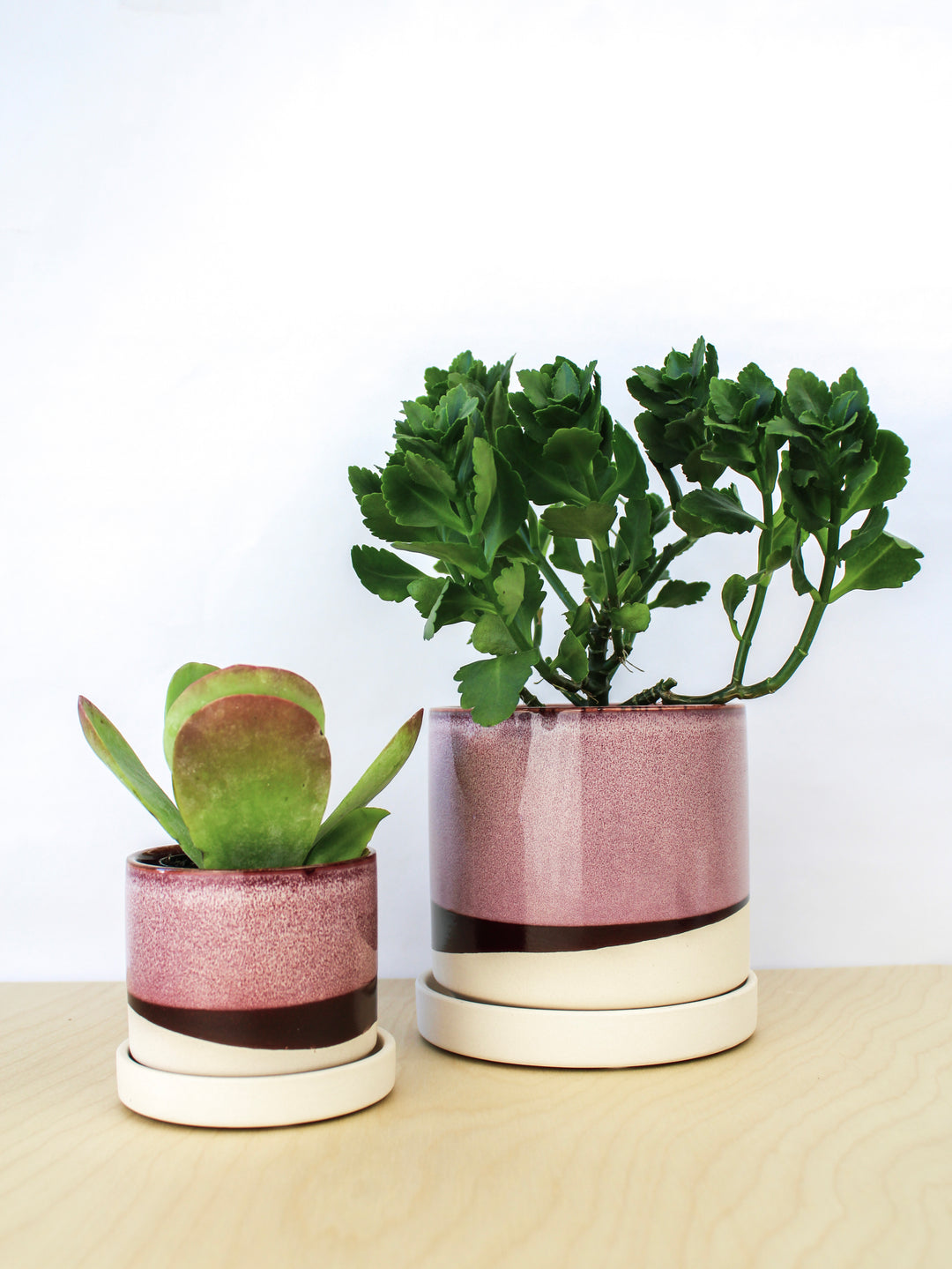 ceramic plant pot trays Burgundy Ceramic Plant Pot and Saucer
