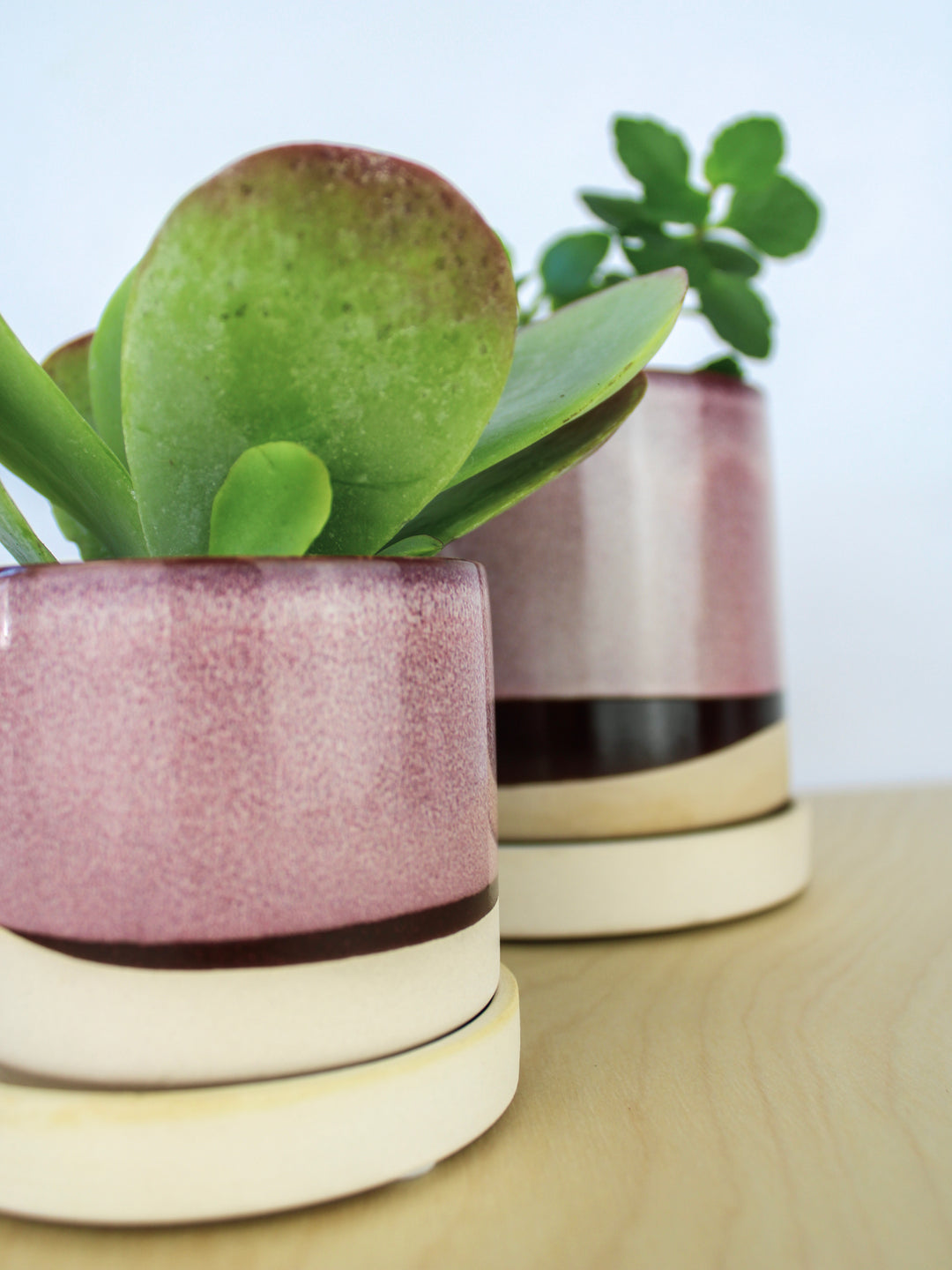 plant pots ceramic Chive Burgundy Minute Ceramic Pot And Saucer Set With Drainage