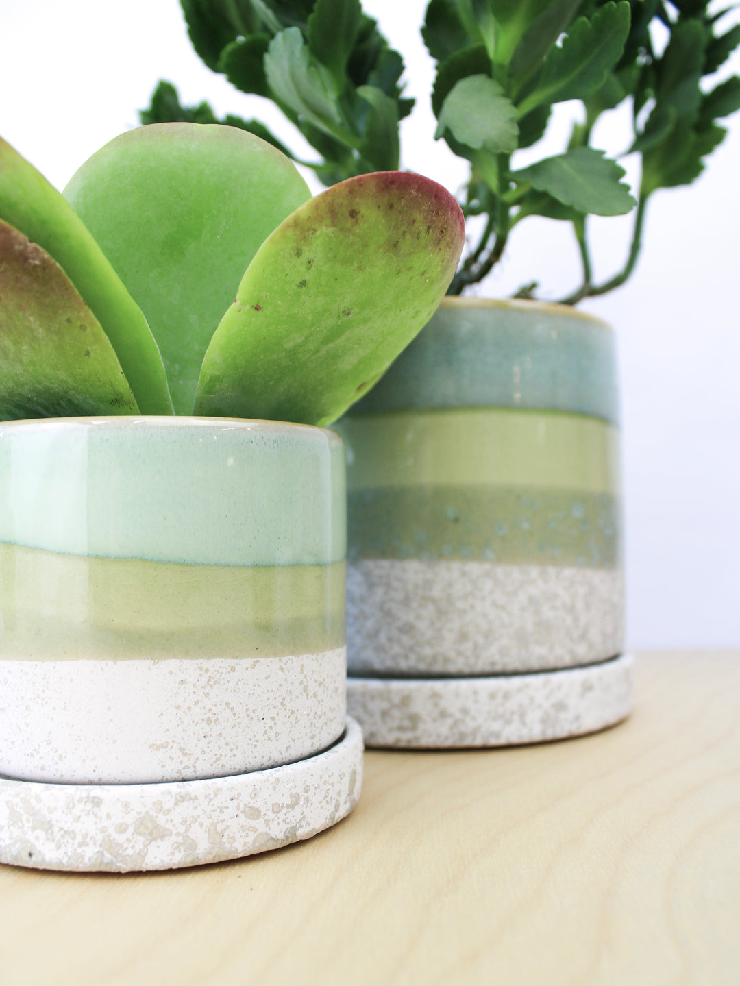 plant pots handmade Cement Green Ceramic Plant Pot and Saucer