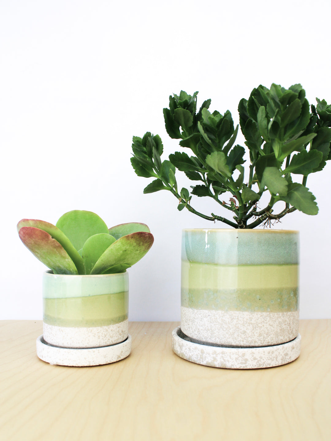 cement plant saucer Chive Minute Ceramic Pot And Saucer Set 5" With Drainage handmade fairtrade plastic free – Ash & Rose