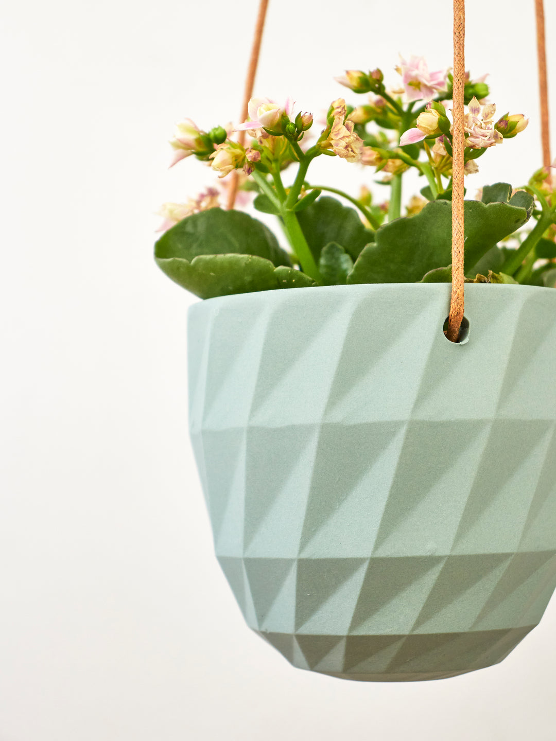 hanging plant grid Chive Minute Ceramic Virago Modern Hanging Planter- Grid handmade fairtrade plastic free – Ash & Rose