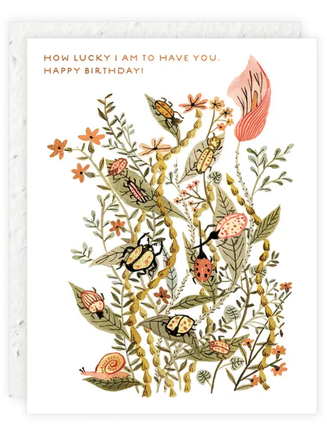 birthday card with flower seeds How Lucky I Am