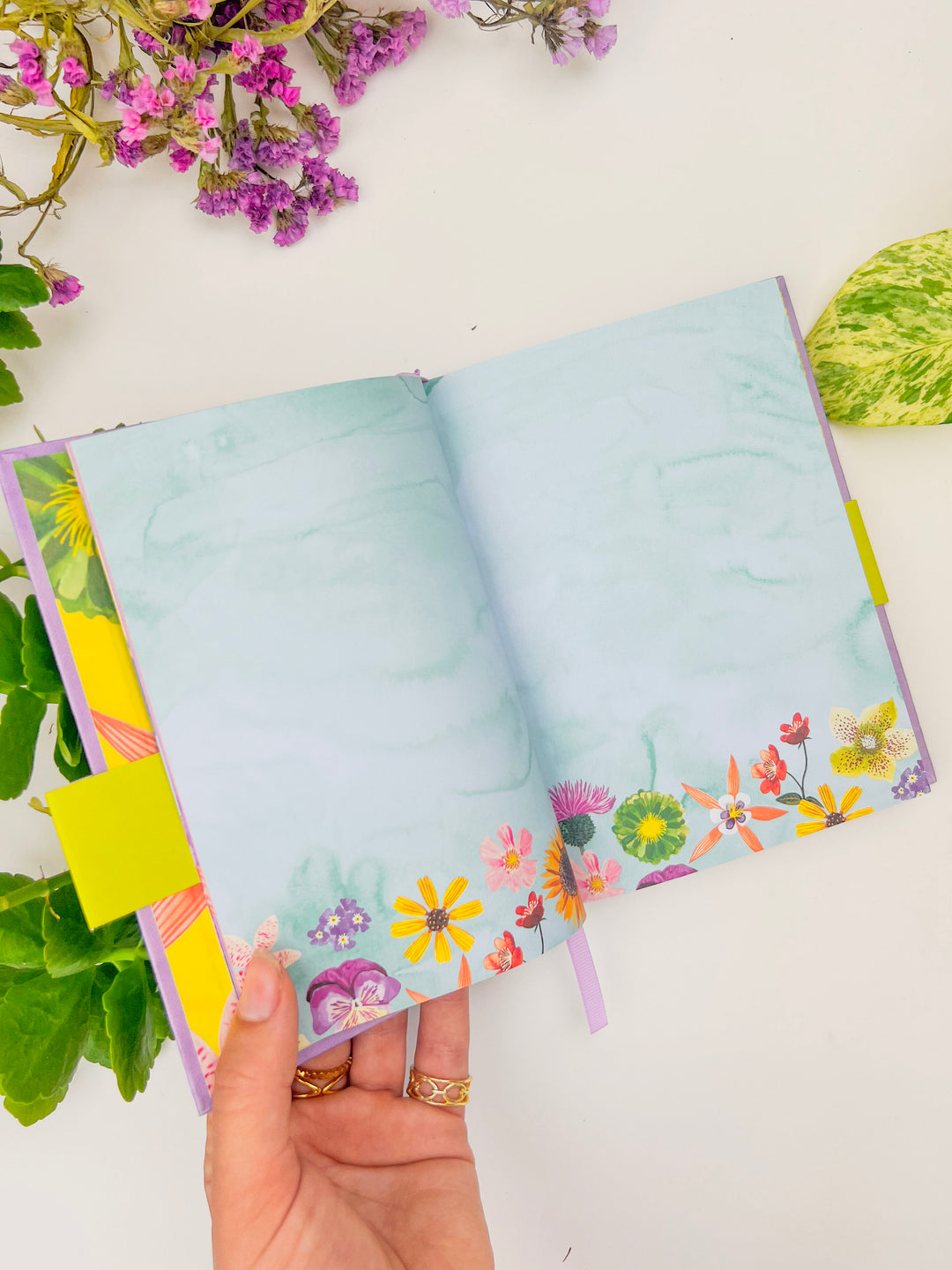 Illustrated Floral Nova Journal