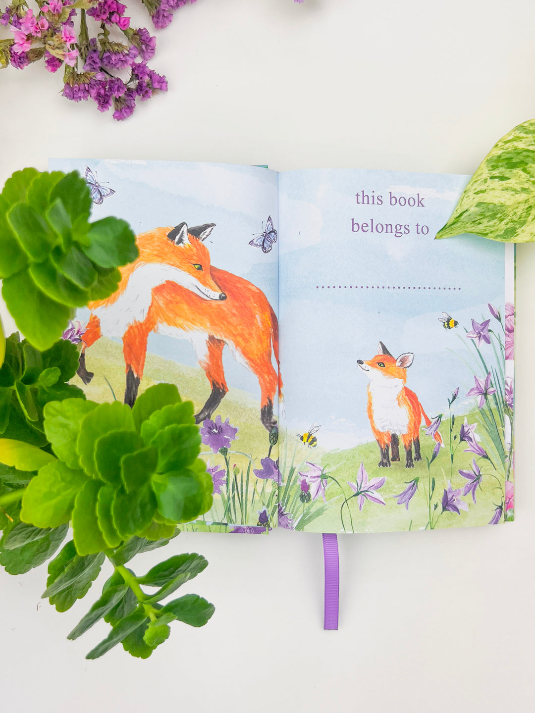 Illustrated Sunny and Wild Journal