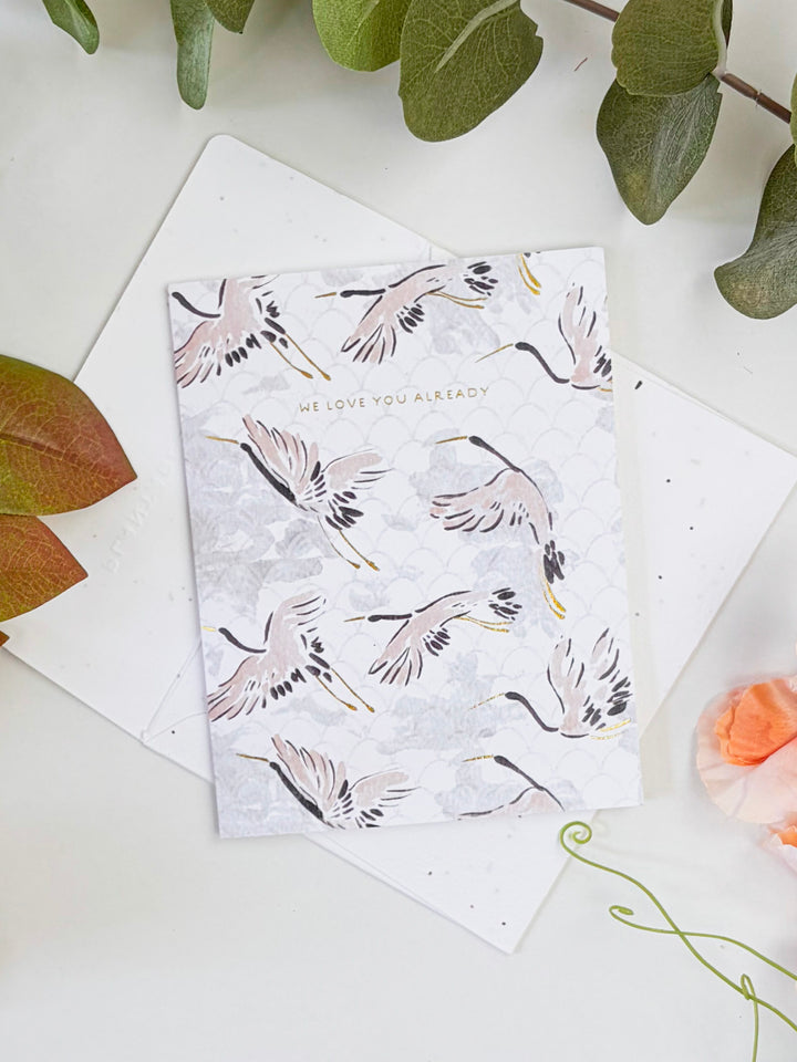 Love You Already - Seeded Baby Congratulations Card