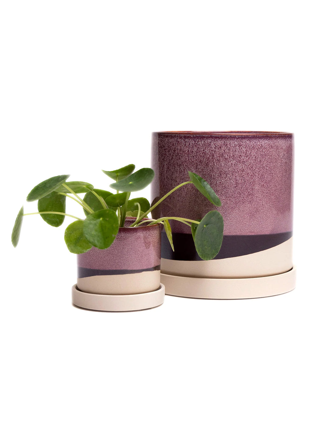 house plant pots with saucer Chive Burgundy Minute Ceramic Pot And Saucer Set With Drainage