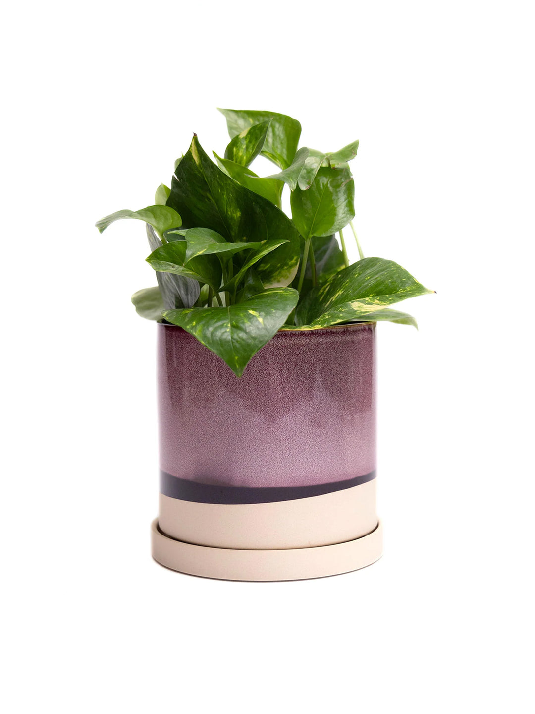 indoor planter with drainage and saucer Chive Burgundy Minute Ceramic Pot And Saucer Set With Drainage