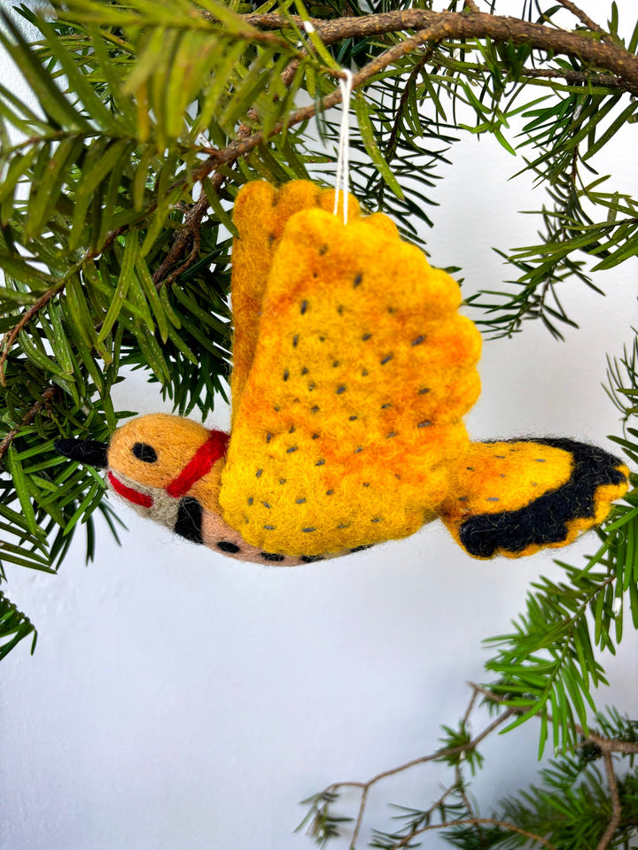 Northern Flicker Ornament