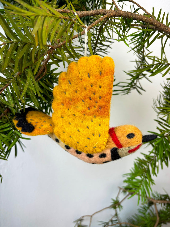 Northern Flicker Ornament