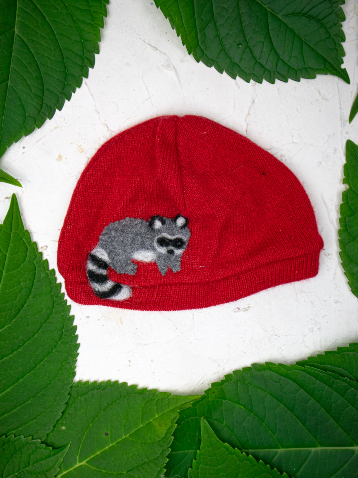 Raccoon Cashmere Hat - Baby