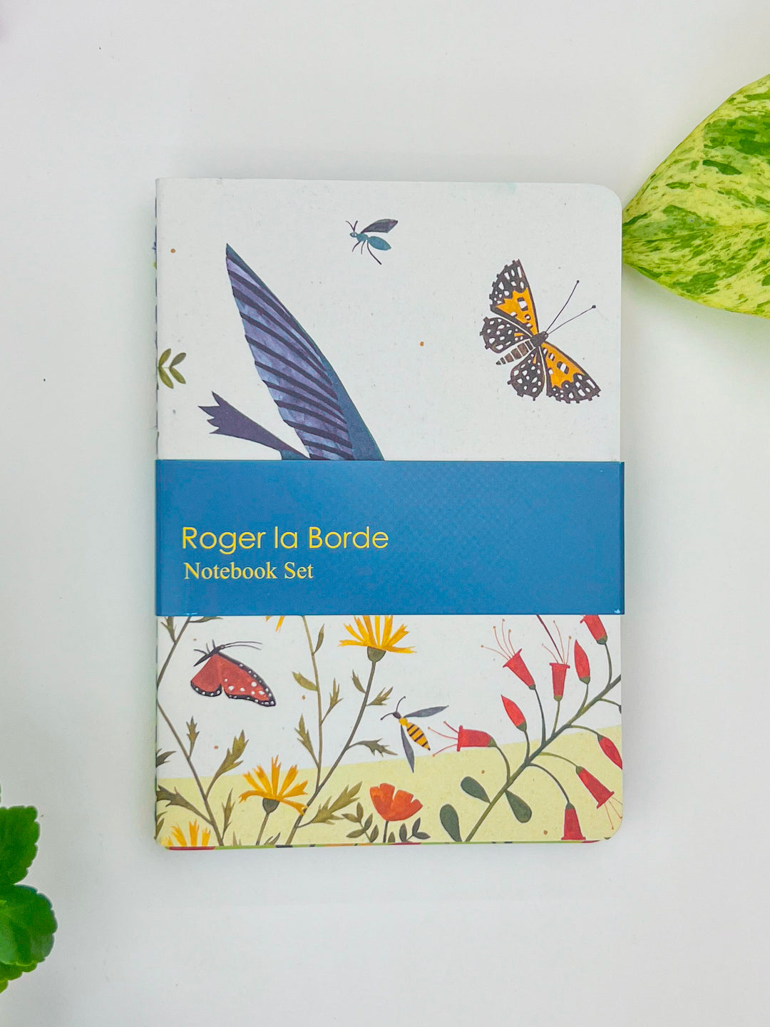 Roger la Borde Hummingbird  Notebook Set