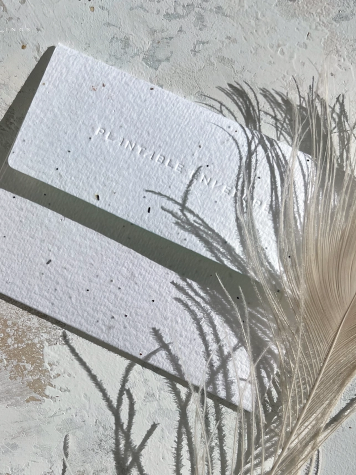 Red Poinsettia - Seeded Holiday Card