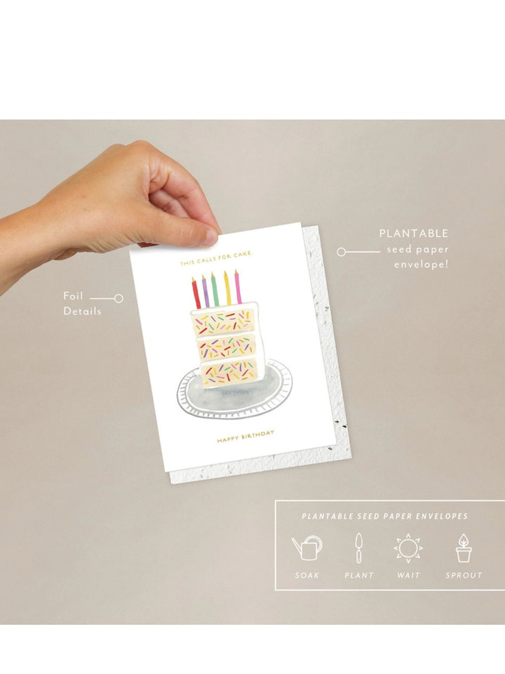 Birthday Slice - Seeded Birthday Card