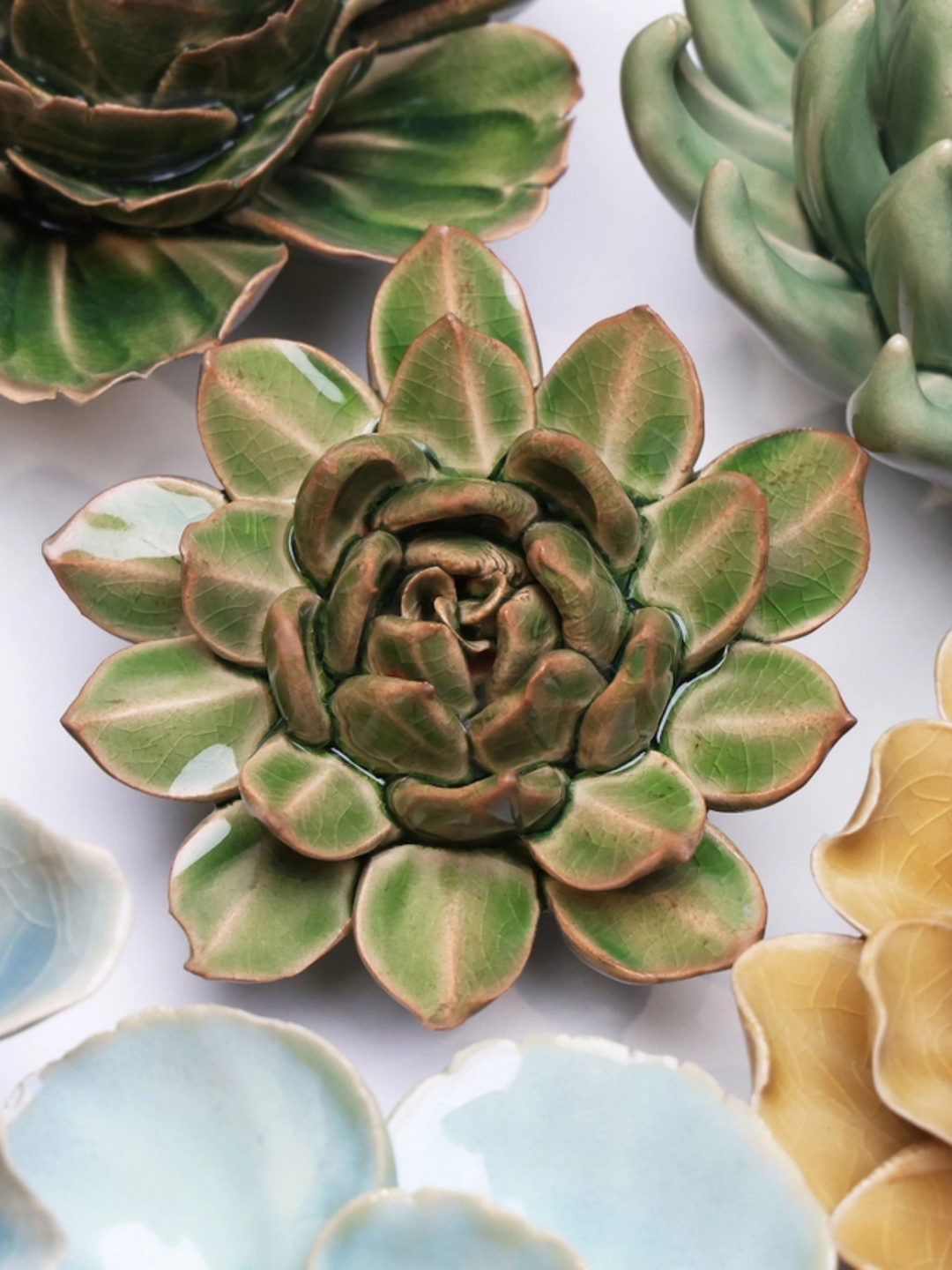succulent flower wall Ceramic Small Green Succulent