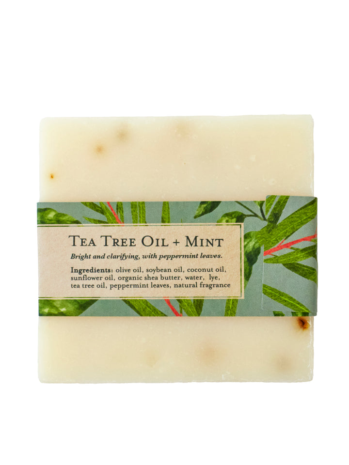 Tea Tree Mint Soap Scrub Bar