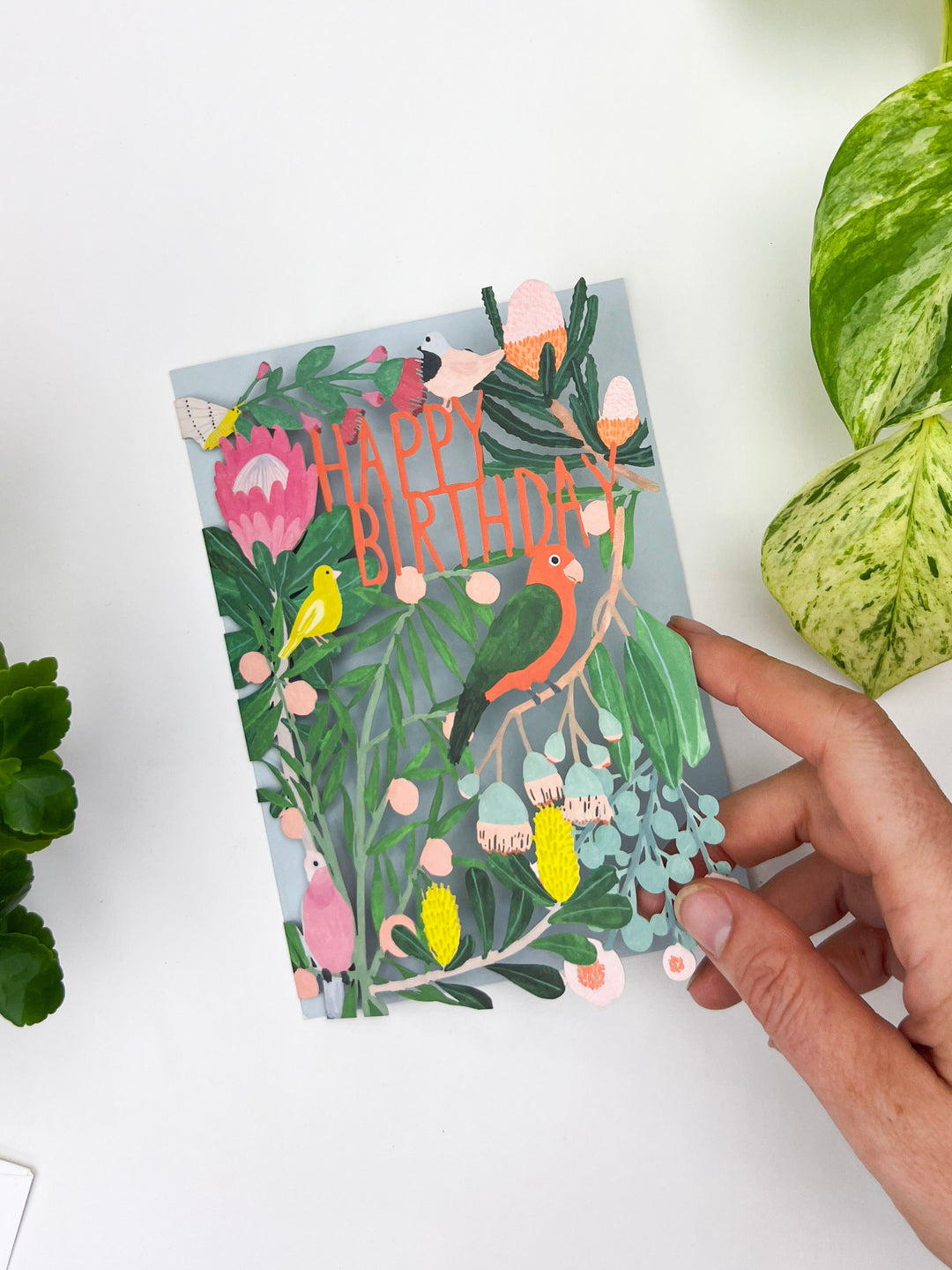 Tropical Birds Laser-cut Birthday Card
