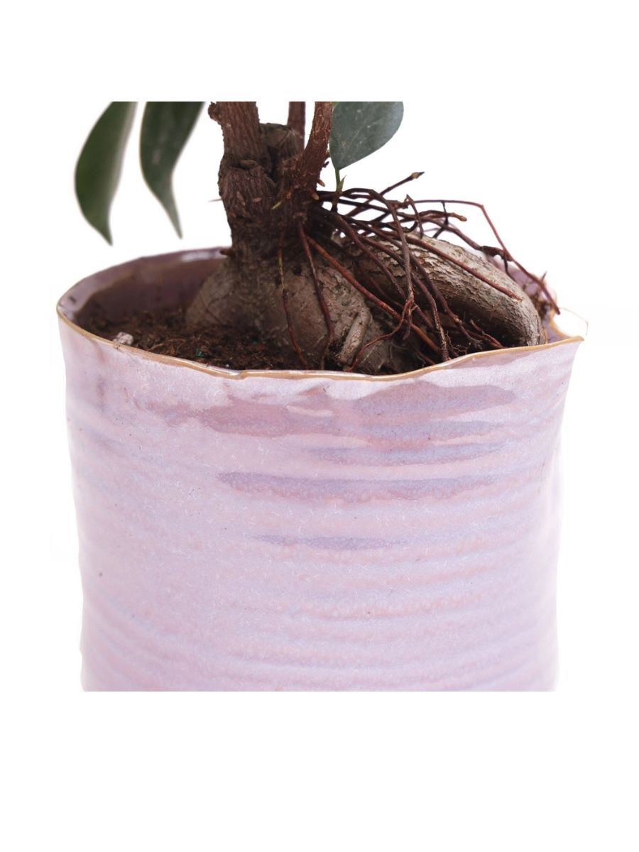 Japanese Minimalist Ceramic Planter – Mauve Indoor Plant Pot with Drainage