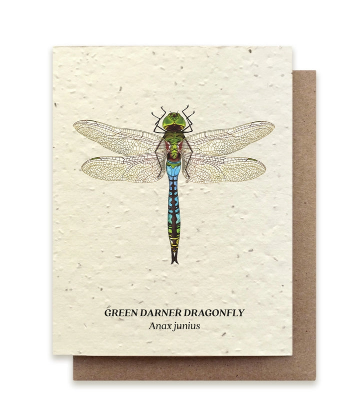 Green Darner Dragonfly Plantable Wildflower Seeded Greeting Card
