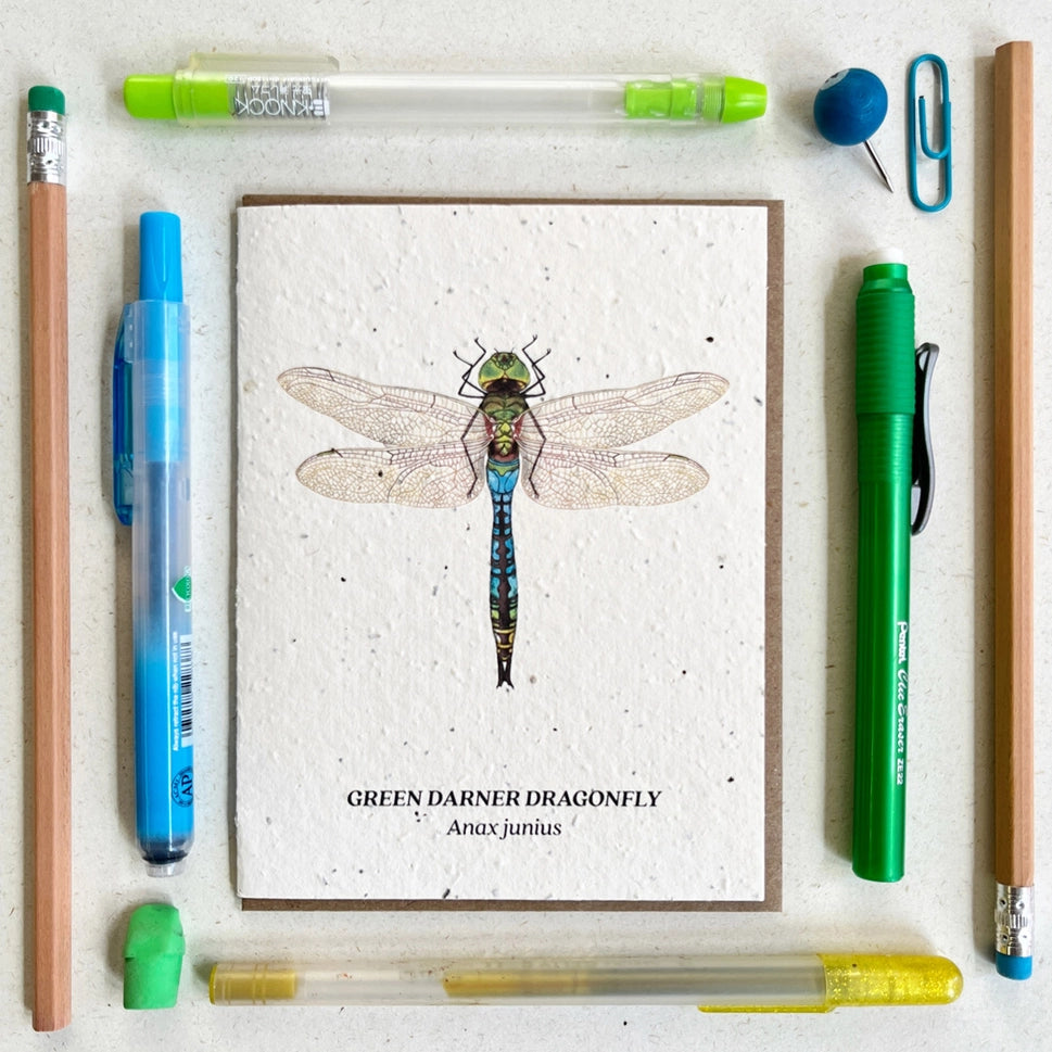 Green Darner Dragonfly Plantable Wildflower Seeded Greeting Card