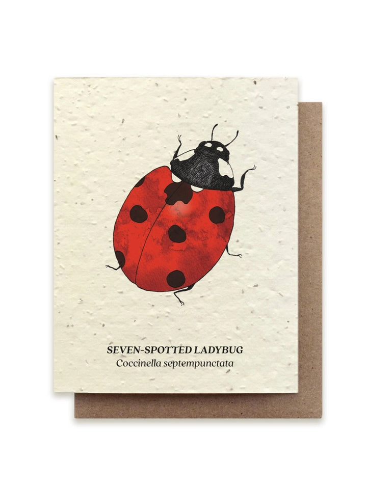 Seven Spotted Ladybug Plantable Wildflower Seeded Greeting Card