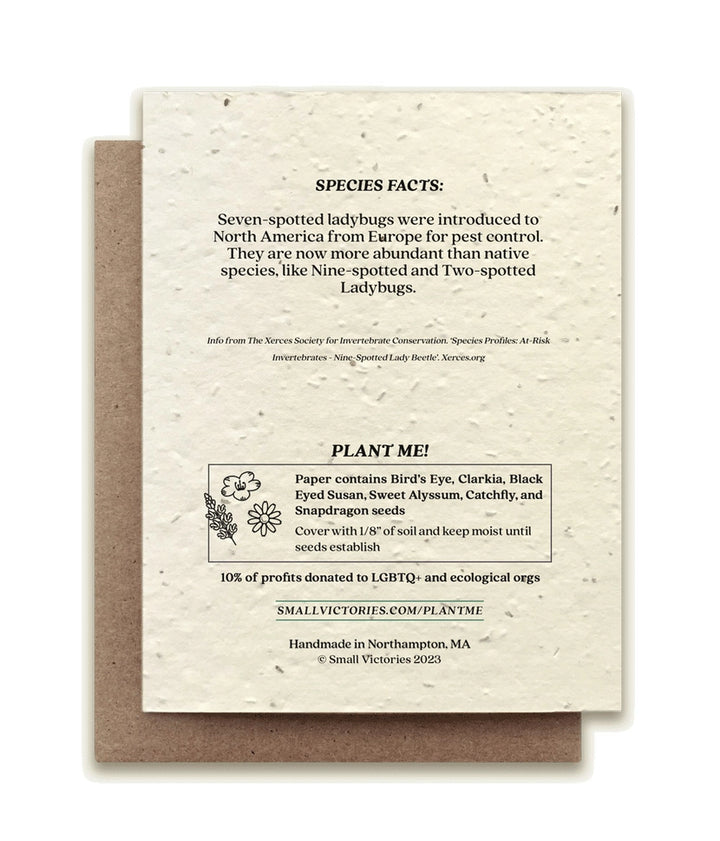 Seven Spotted Ladybug Plantable Wildflower Seeded Greeting Card
