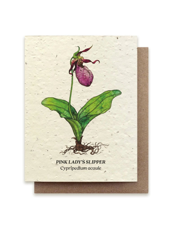 Lady's Slipper Plantable Wildflower Seeded Greeting Card