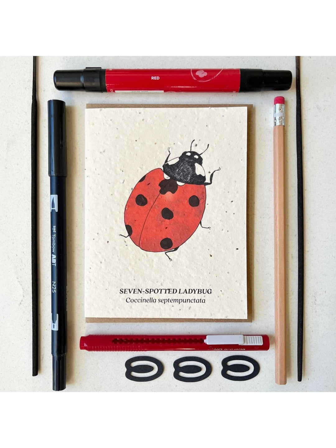 Seven Spotted Ladybug Plantable Wildflower Seeded Greeting Card