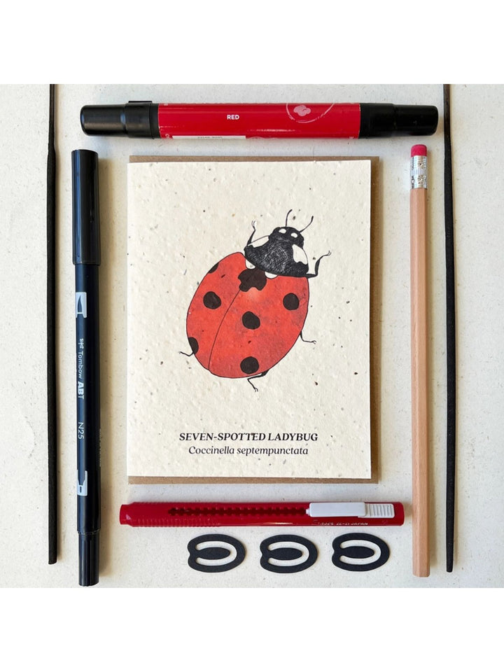Seven Spotted Ladybug Plantable Wildflower Seeded Greeting Card