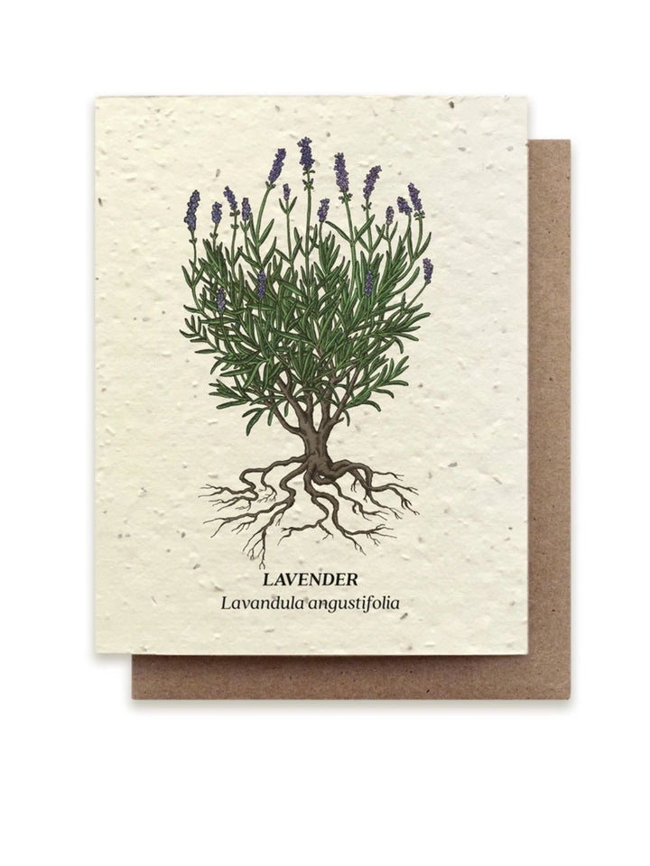 Lavender Plantable Wildflower Seeded Greeting Card