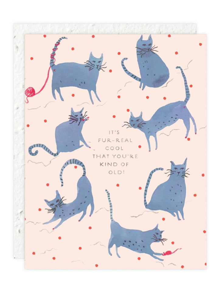 Playful Cats- Seeded Birthday Card
