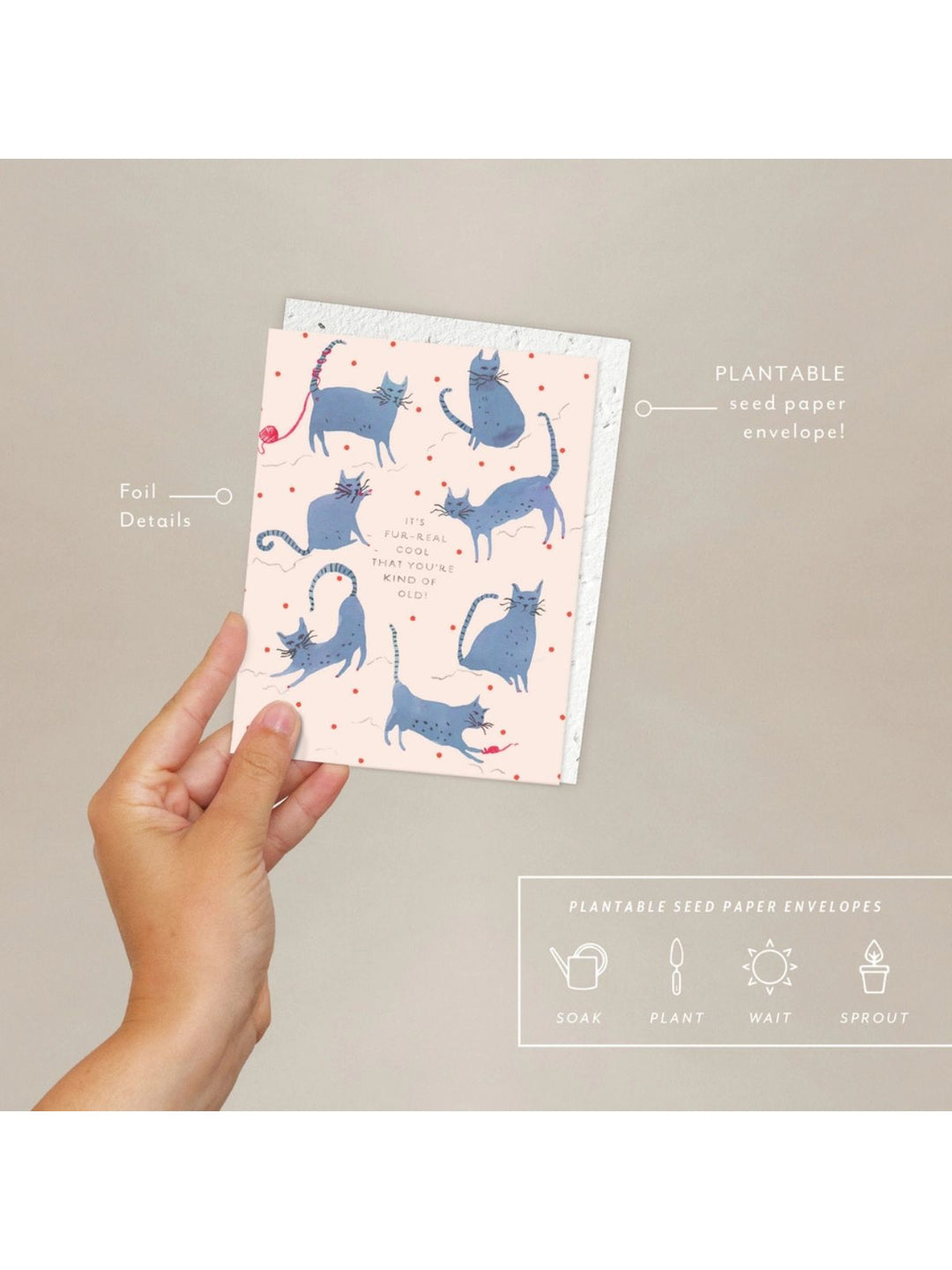 Playful Cats- Seeded Birthday Card
