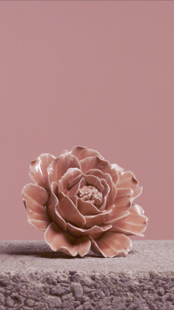 Ceramic Champagne Pink Rose