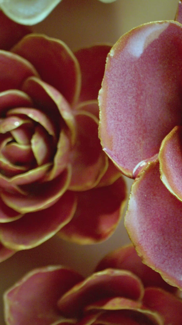 Pink Ranunculus Ceramic Wall Flower