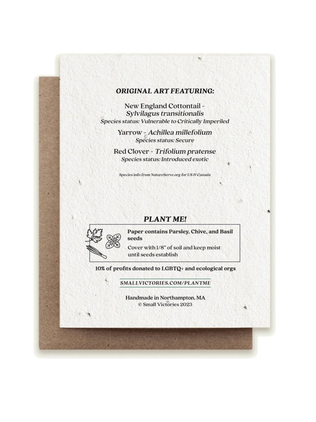 Rabbit Gathering Herbs Plantable Wildflower Seeded Greeting Card