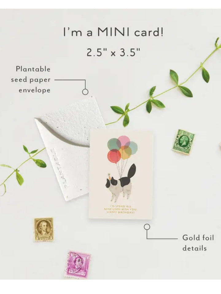 Mini Birthday Kitty - Seeded Birthday Card