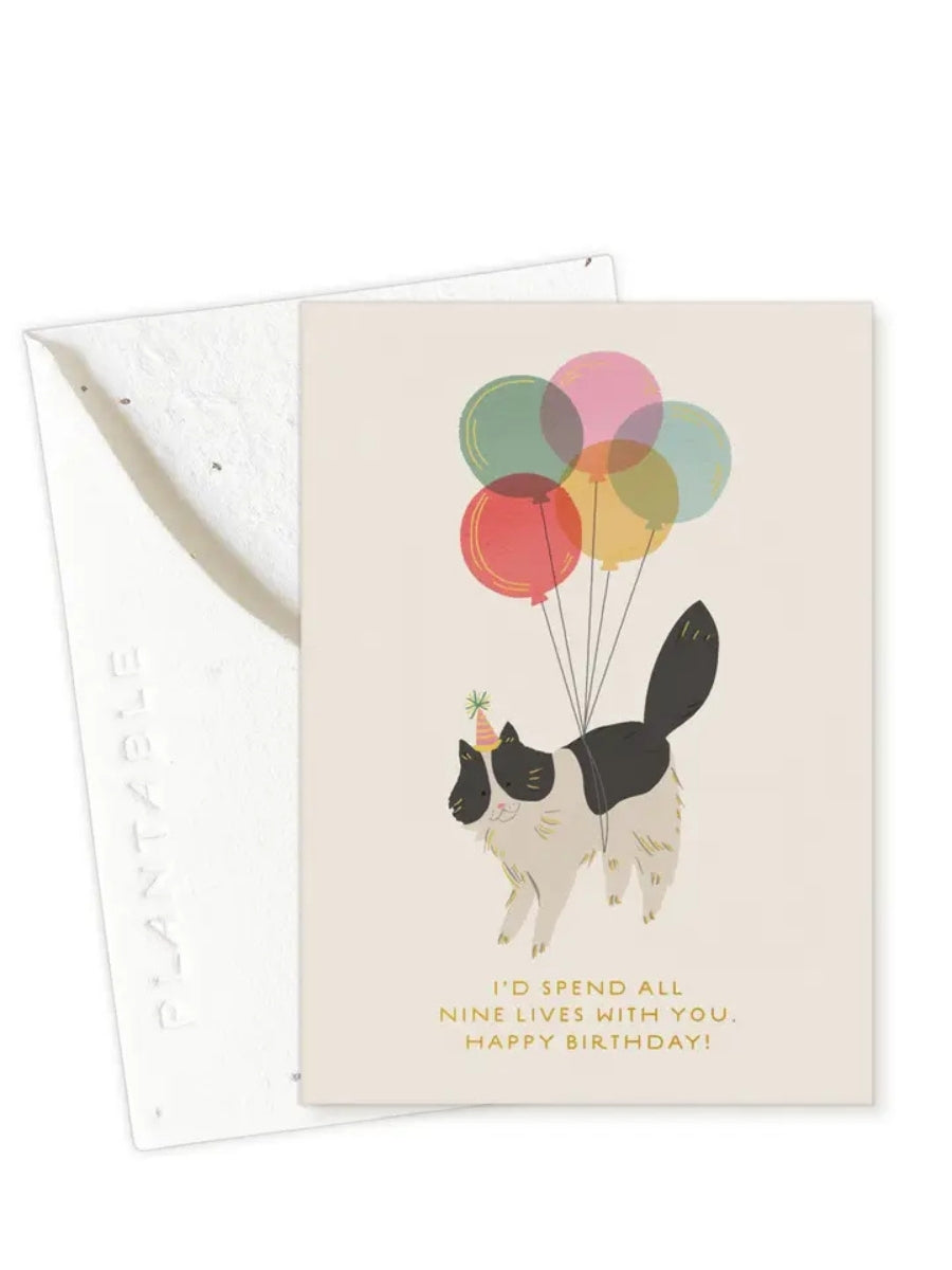 Mini Birthday Kitty - Seeded Birthday Card