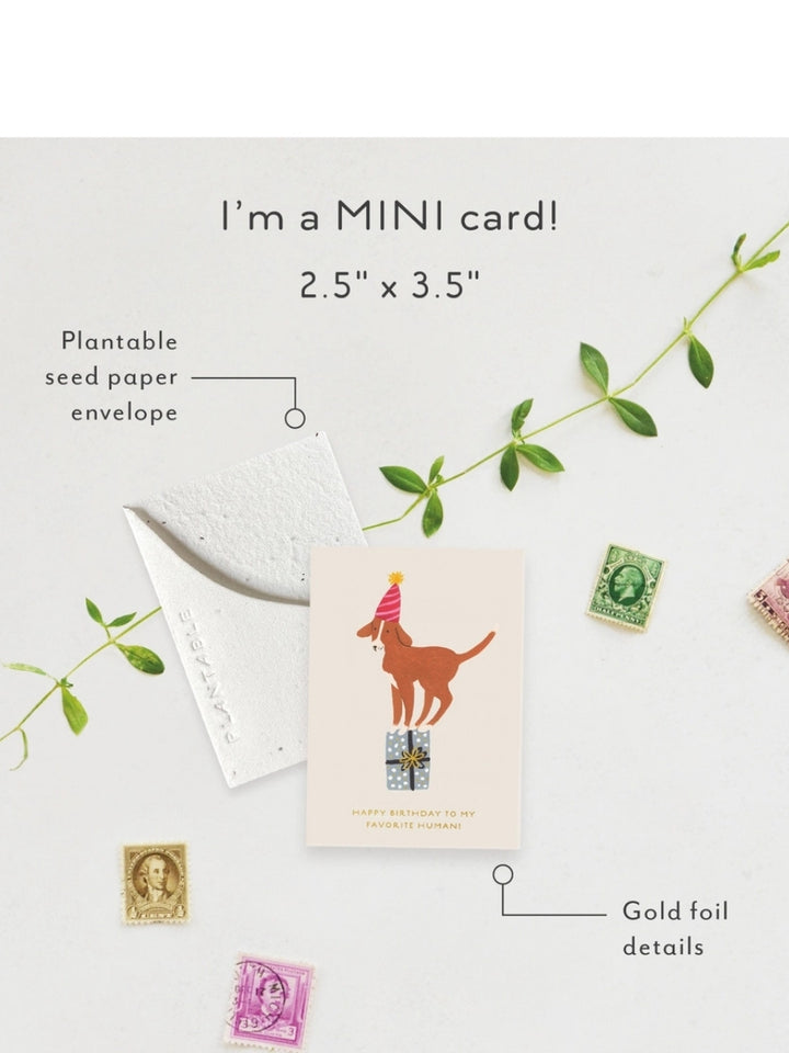 Mini Birthday Dog - Seeded Birthday Card