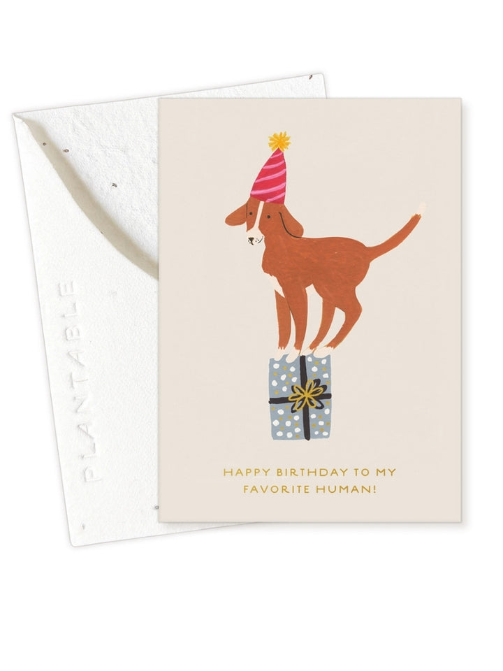 Mini Birthday Dog - Seeded Birthday Card