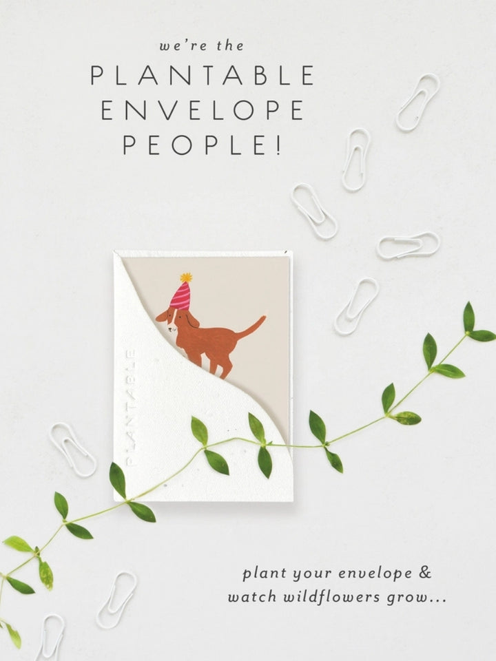 Mini Birthday Dog - Seeded Birthday Card