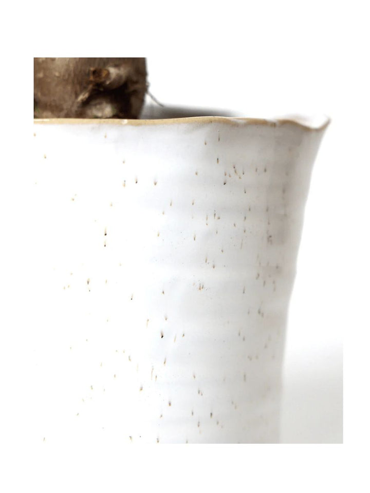 Japanese Minimalist White Speckles Flower Pot For Indoor Plants