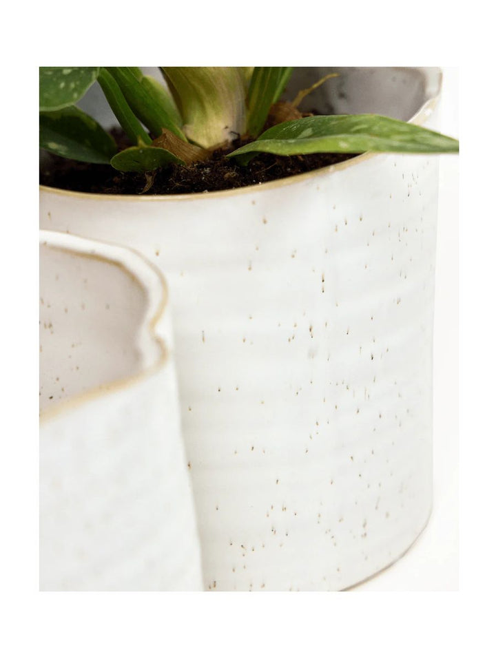 Japanese Minimalist White Speckles Flower Pot For Indoor Plants