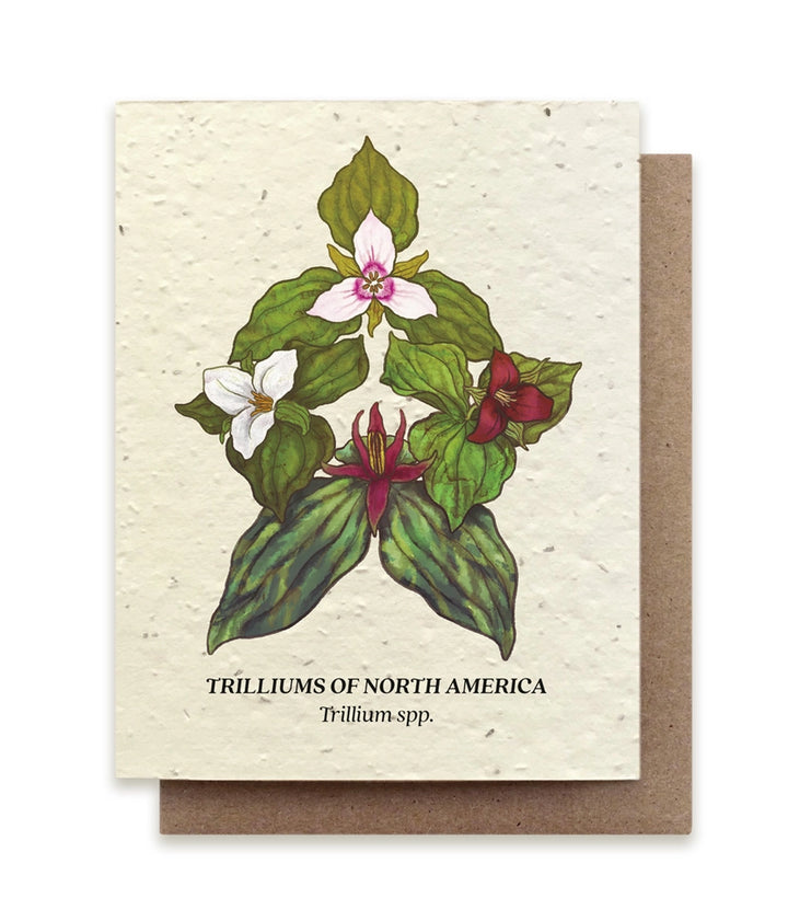 Trillium Compass Plantable Wildflower Seeded Greeting Card