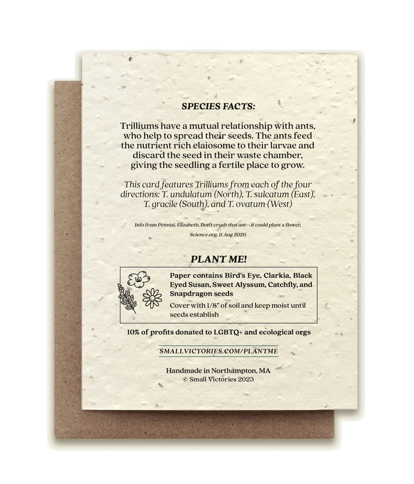 Trillium Compass Plantable Wildflower Seeded Greeting Card