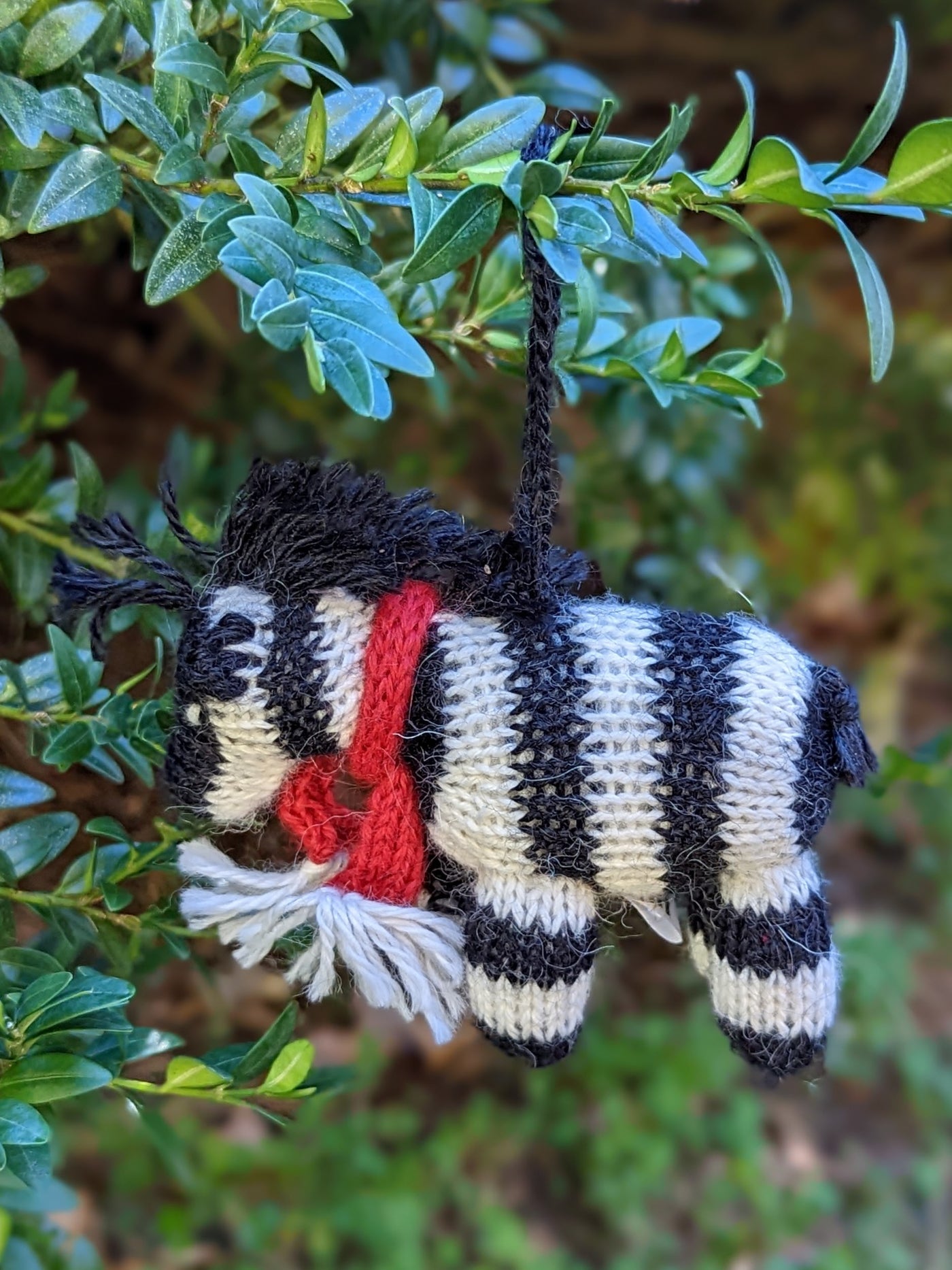 Zebra with Scarf Ornament